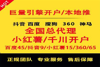 百度广告投放策略与效果评估案例